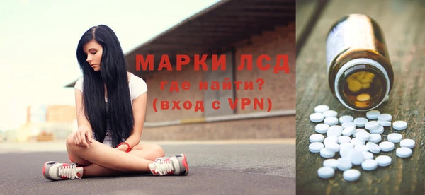 индика Баксан