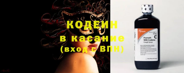 индика Баксан