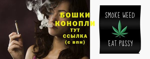ГАЛЛЮЦИНОГЕННЫЕ ГРИБЫ Арсеньев