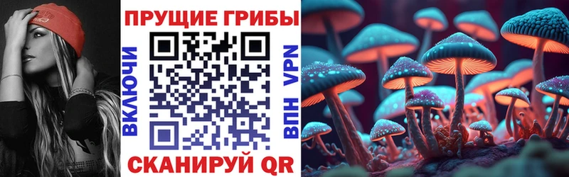 MEGA зеркало  Чудово  Галлюциногенные грибы мицелий 